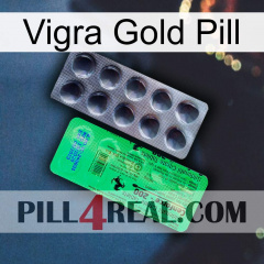 Vigra Gold Pill new04